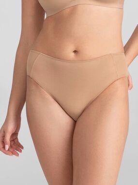 NWT Honeylove - BlissWear Mesh Bikini Panty - Sand